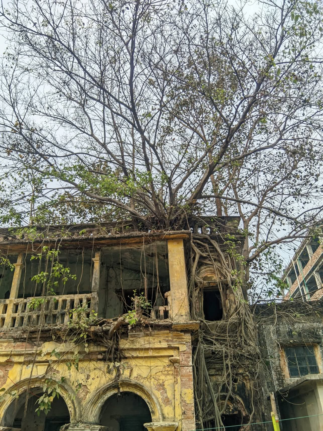 Bhuter Bari