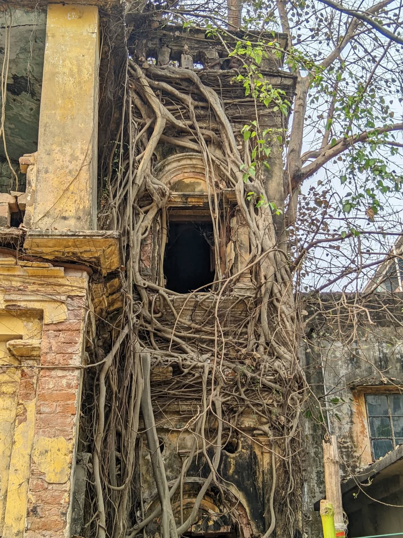 Bhuter Bari_2